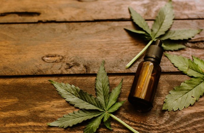 Georgia board picks 6 companies to sell medical marijuana