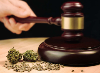 Mississippi Supreme Court Bans Ballot Initiatives While Nixing Medical Marijuana