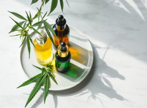 What’s the Difference Between Hemp Oil and CBD Oil?