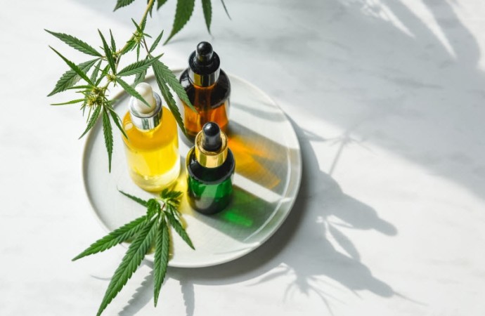 What’s the Difference Between Hemp Oil and CBD Oil?