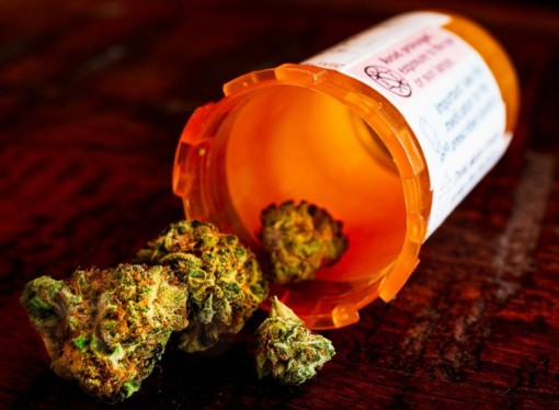 4 Tips For First-Time Medical Marijuana Patients