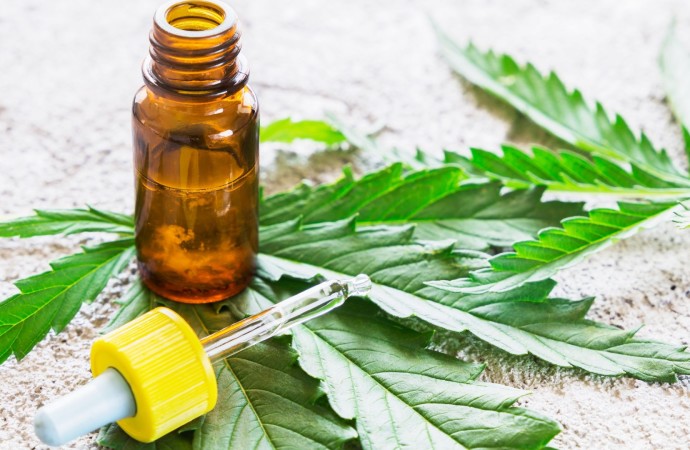 No solid proof cannabis oil can ‘cure’ cancer