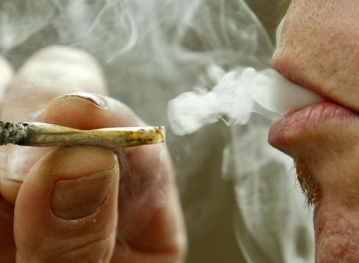 Cannabis use would soar in Australia if decriminalised: study
