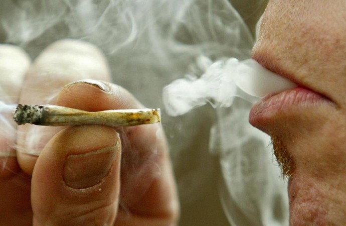 Cannabis use would soar in Australia if decriminalised: study