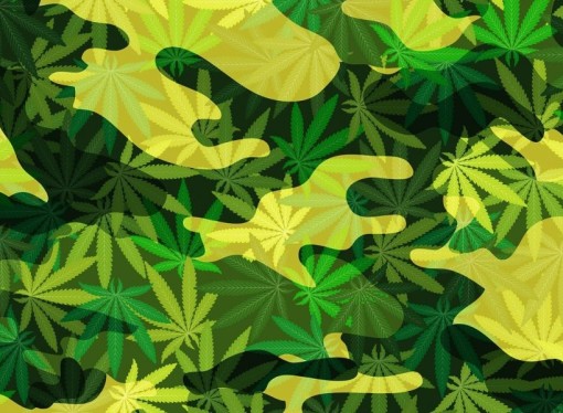Senators Vote To Expand Medical Marijuana Access For Military Veterans In Key Committee
