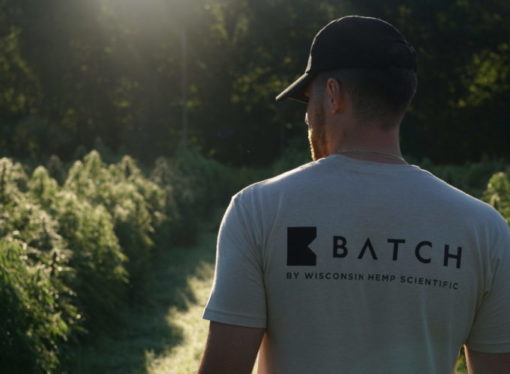 Top 5 Places to Buy CBD Oil in Wisconsin