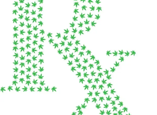 Virginia’s Medical Marijuana Market Faces High Price Hurdles