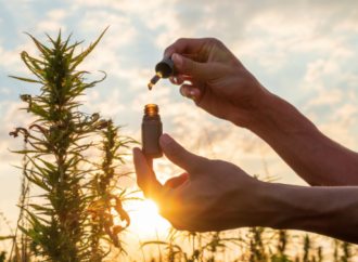 The Best CBD Oil Tinctures: Where to Buy CBD Oil in Texas