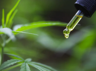 What’s the Best CBD Oil? Here are 10 Solid Choices