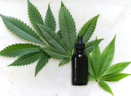 Arkansas Medical Marijuana Expansion Effort Gains Extra Time for Signature Collection