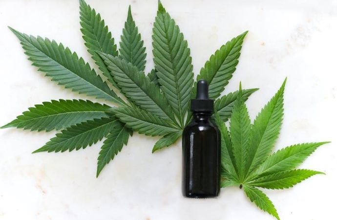 Fifth of UK adults have used CBD or cannabis oil for health, says new research