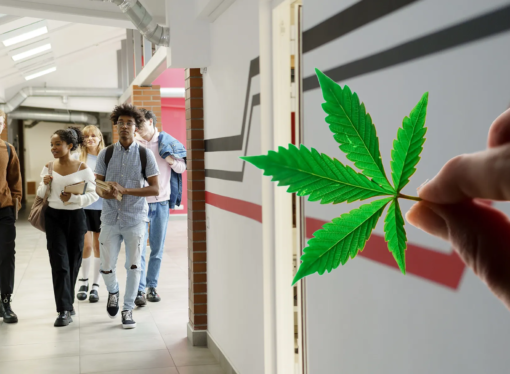 Pediatric Association Strongly Opposed To Medical Marijuana Use In Massachusetts Schools