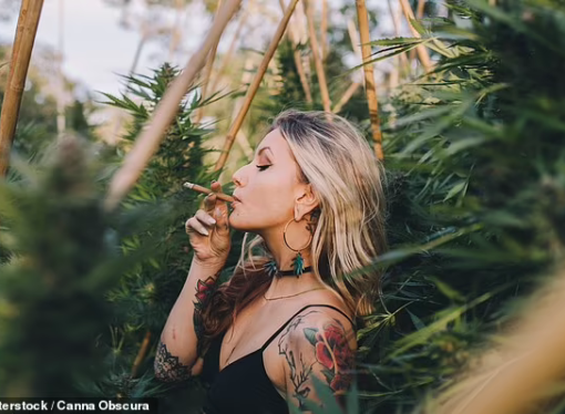 Lisa Wilkinson’s ex Project co-host responds to her call for medical marijuana users to drive