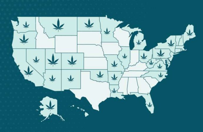 Cannabis laws in Wyoming