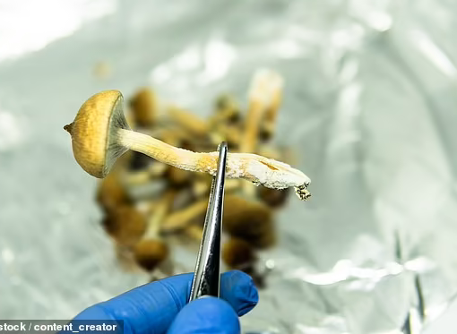 Cancer-stricken woman, 49, ‘saw her disease vanish after resorting to magic mushrooms and cannabis’