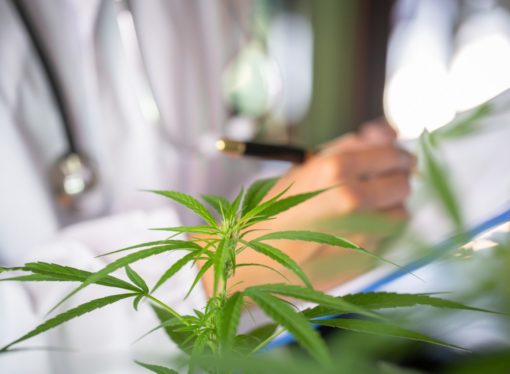 What can the UK government do for the legalisation of medical cannabis?