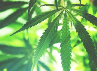 Georgia to Become First U.S. State to Sell Medical Marijuana in Pharmacies