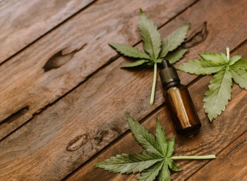 Victoria Launches Groundbreaking Trial for Medicinal Cannabis Drivers