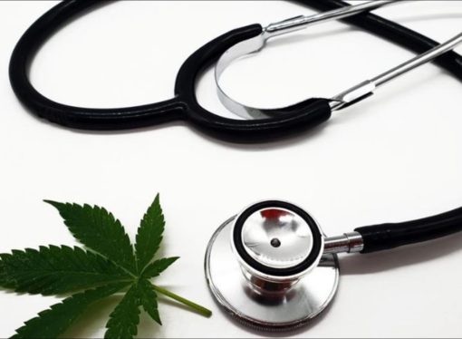 St. Louis medical marijuana firms think cautiously about expansion