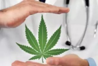 Medical cannabis hits high notes for pain management, rare diseases