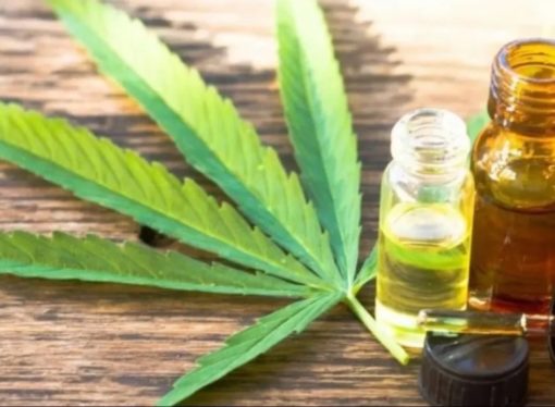 Study: Medical Marijuana Shows Promise in Reducing Opioid Use for Chronic Pain