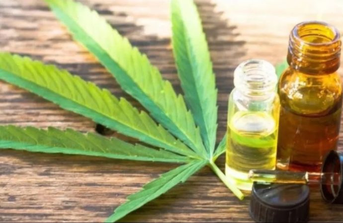 Healing Properties of Cannabis Oil