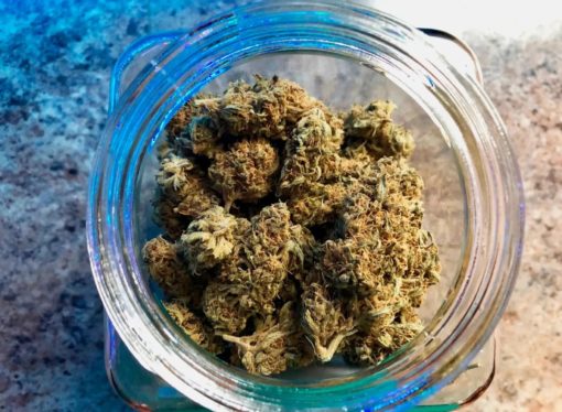 Medical board clears physician of charges in medical marijuana investigation