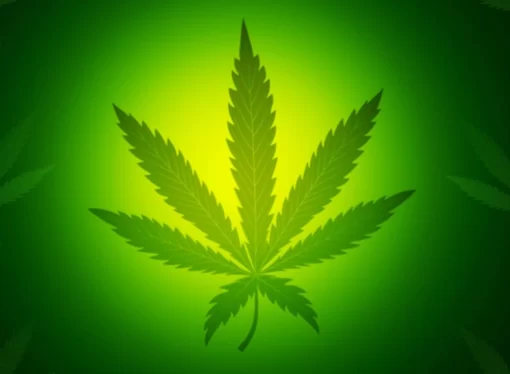 Medical Marijuana Improves Quality Of Life, Science Says
