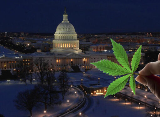 D.C. Mayor Bowser Approves Changes To Medical Marijuana Program: Licenses, Tax Relief, Self-Certification