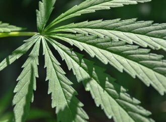 Kentucky Another Step Closer To Legal Medical Marijuana