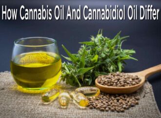 How Cannabis Oil And Cannabidiol Oil Differ