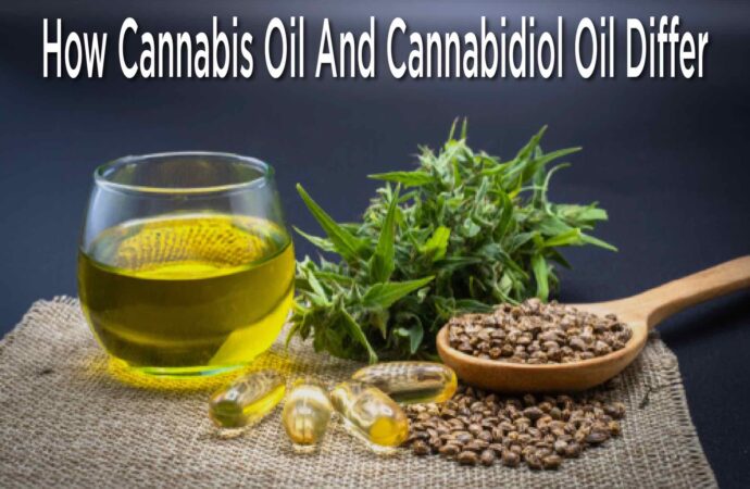 How Cannabis Oil And Cannabidiol Oil Differ