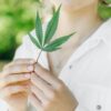 Kentucky Prepares for Medical Marijuana with Local Regulation Plans