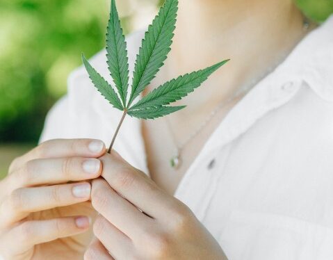 Kentucky Prepares for Medical Marijuana with Local Regulation Plans