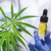 New Study Aims to Shed Light on Medical Cannabis Efficacy