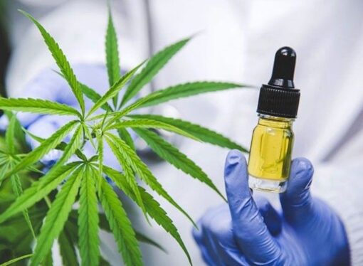 Cannabis Surpasses Prescription Pills and Alcohol as Preferred Sleep Aid, Poll Finds