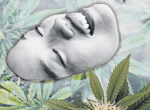 Does medicinal cannabis live up to the hype?