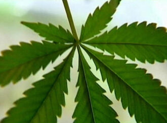 What changes could Arkansas medical marijuana users see after judge nullifies law amendments?