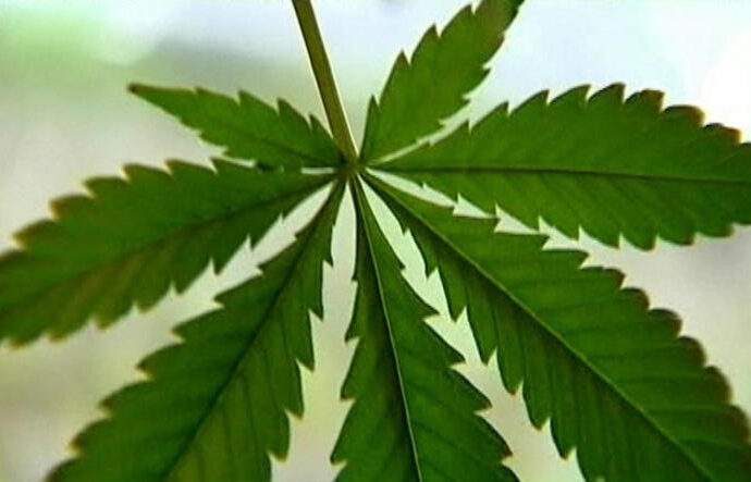 What changes could Arkansas medical marijuana users see after judge nullifies law amendments?