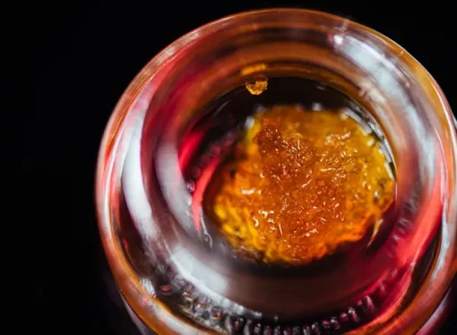 The Cannabis Industry Wants To Turn July 10 Into A ‘Hashish Holiday’
