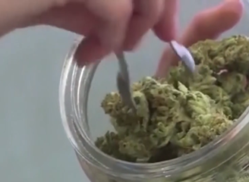 Medical marijuana bill in NC, what this could mean if it is passed