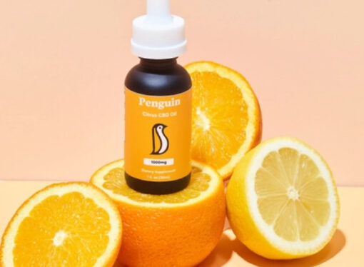Best Way to Take CBD Oil in 2023