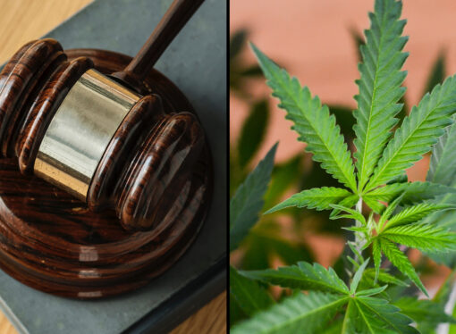 Alabama Judge Halts Medical Marijuana Licensing Again, This Time Over Alleged Open Meetings Violations