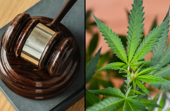 Alabama Judge Halts Medical Marijuana Licensing Again, This Time Over Alleged Open Meetings Violations