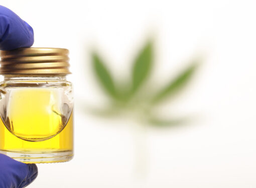 Groundbreaking Study Reveals Potential of Medicinal Plants in Treating Diabetes