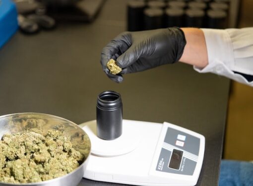 Can You Take CBD Oil On A Plane In 2023?