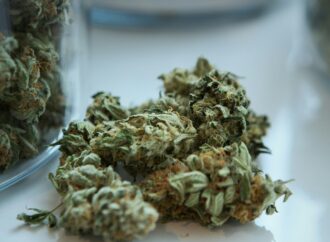 A Decade of Medical Cannabis in Iowa: Limited Progress Amid Nationwide Advances