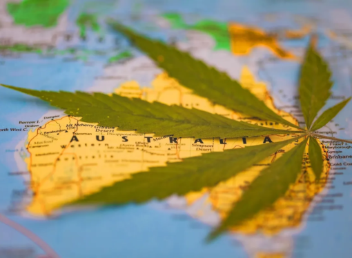 Australia’s Cannabis Landscape: A State-by-State Overview