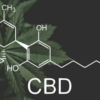 CBD Shows Promise in Reducing Fever and Inflammation, Study Finds