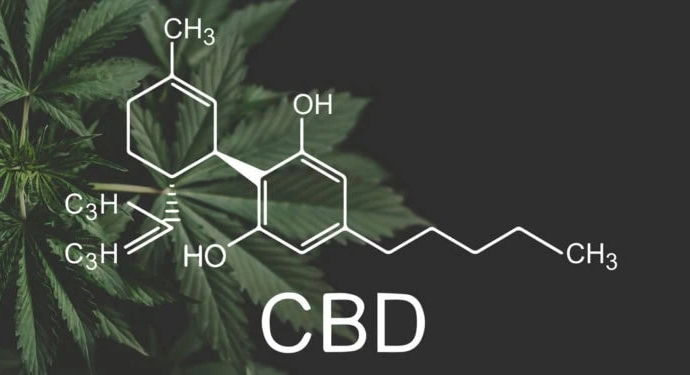 CBD Shows Promise in Reducing Fever and Inflammation, Study Finds